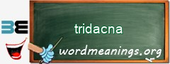 WordMeaning blackboard for tridacna